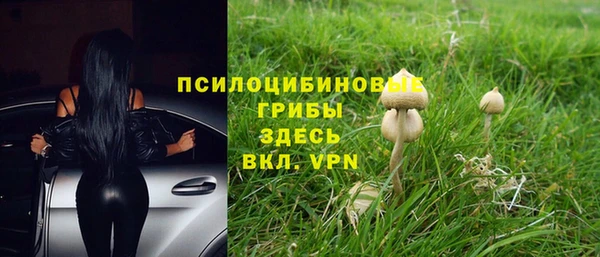 дурь Арсеньев