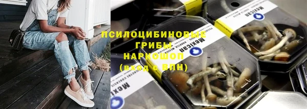 бошки Аркадак