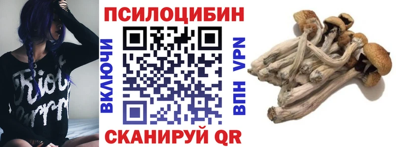 купить наркотик Новоаннинский Псилоцибиновые грибы Cubensis