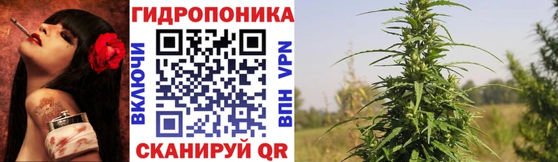 купить наркоту  Новоаннинский  МАРИХУАНА OG Kush 